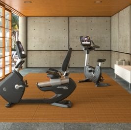 Tips When Selecting and Buying Gym Equipment